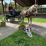 Lucky Luke's Hideaway Apartamento