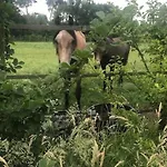 Lucky Luke's Hideaway