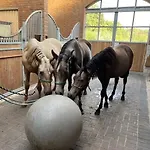 Apartamento Lucky Luke's Hideaway *