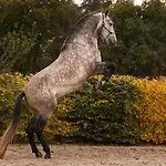 Lucky Luke's Hideaway Apartamento