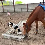 Lucky Luke's Hideaway *