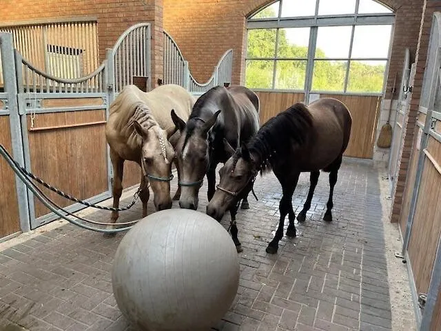 Apartamento Lucky Luke's Hideaway *