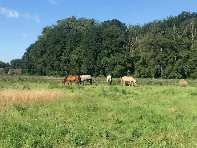 Appartamento Lucky Luke's Hideaway *