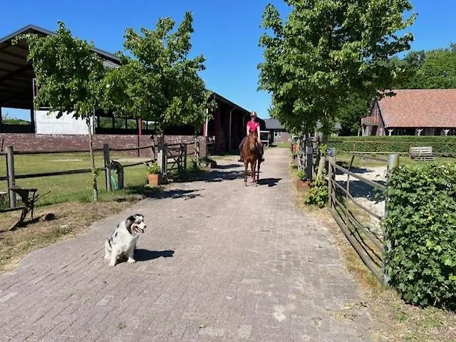 Lucky Luke's Hideaway Heibloem