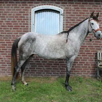 Lucky Luke's Hideaway Appartamento