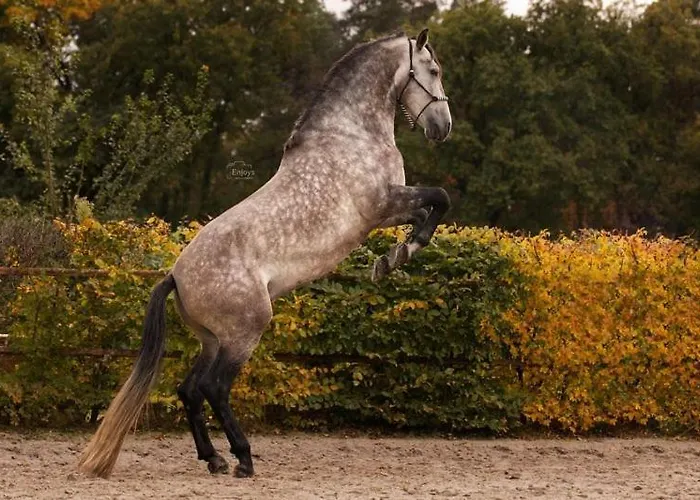 Lucky Luke's Hideaway Appartamento