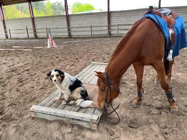 Lucky Luke's Hideaway *